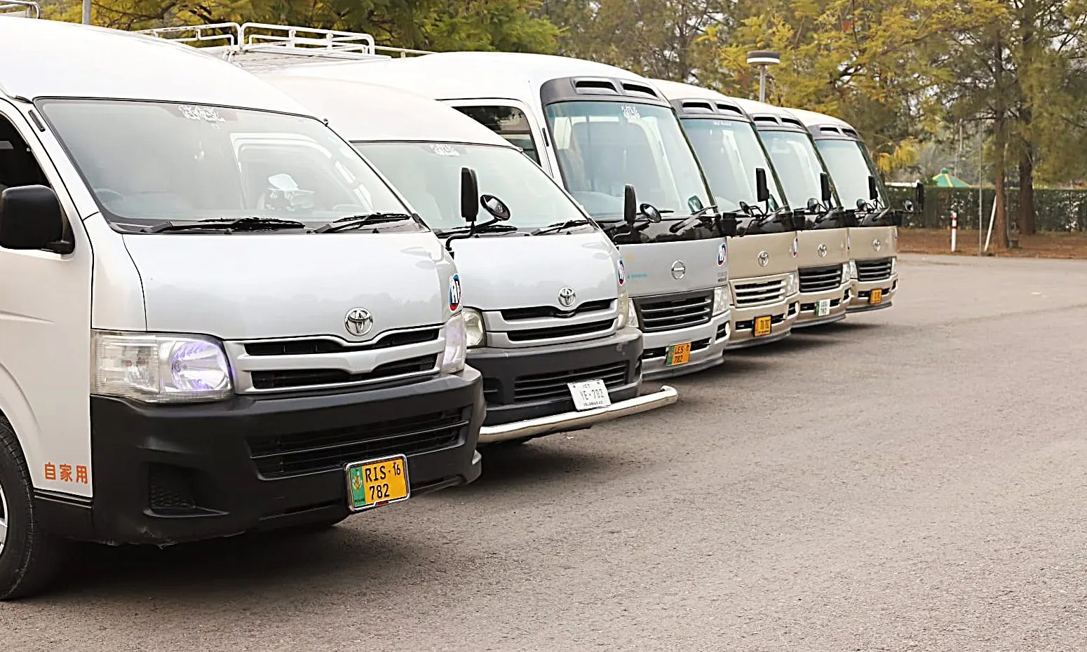 Amber Tours Hiace vans and Coasters lined up on a tree-lined road